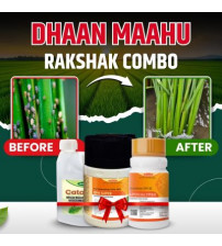 Katyayani Dhaan Mahu Rakshak Combo